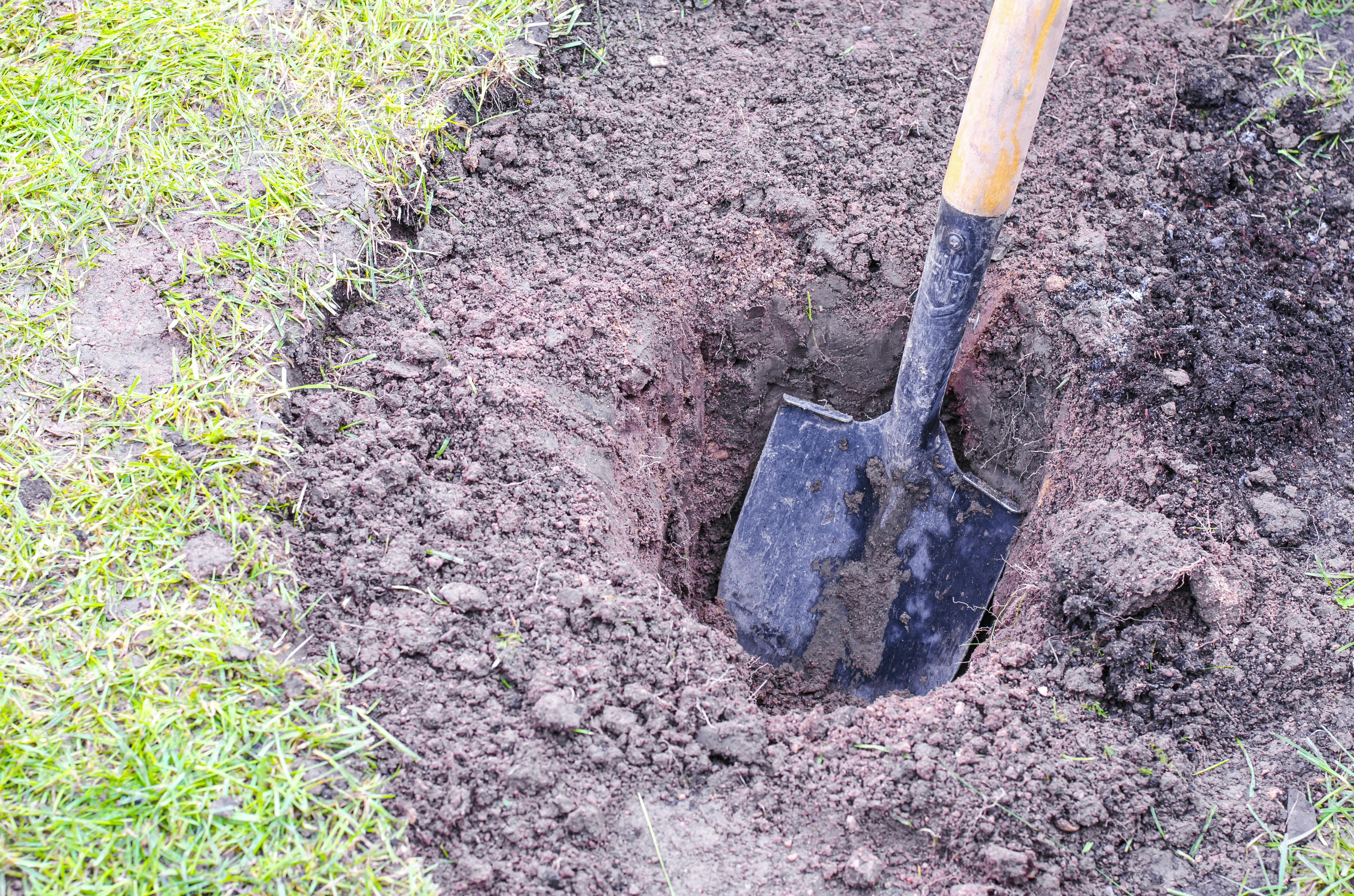 Graver et hul i jorden med en skovl