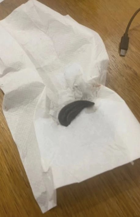 Det var en igle som denne, som bruden ufrivilligt havde fået med som gæst.