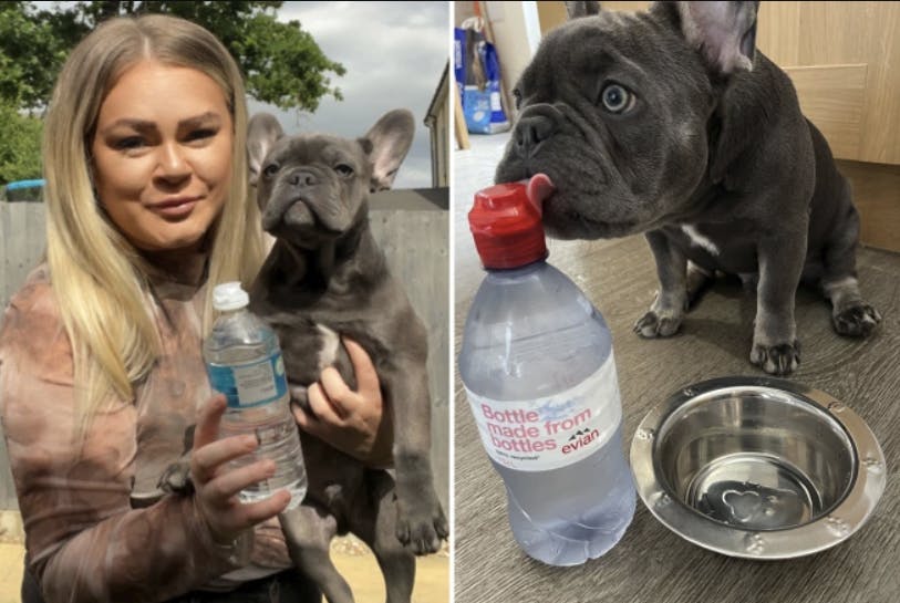 Henry nægter at drikke fra hanen - det skal være fra flaske!