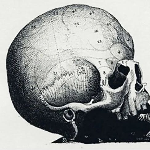 Har du stadig ikke fundet dit kald i livet? Så kan denne test måske hjælpe dig på vej.