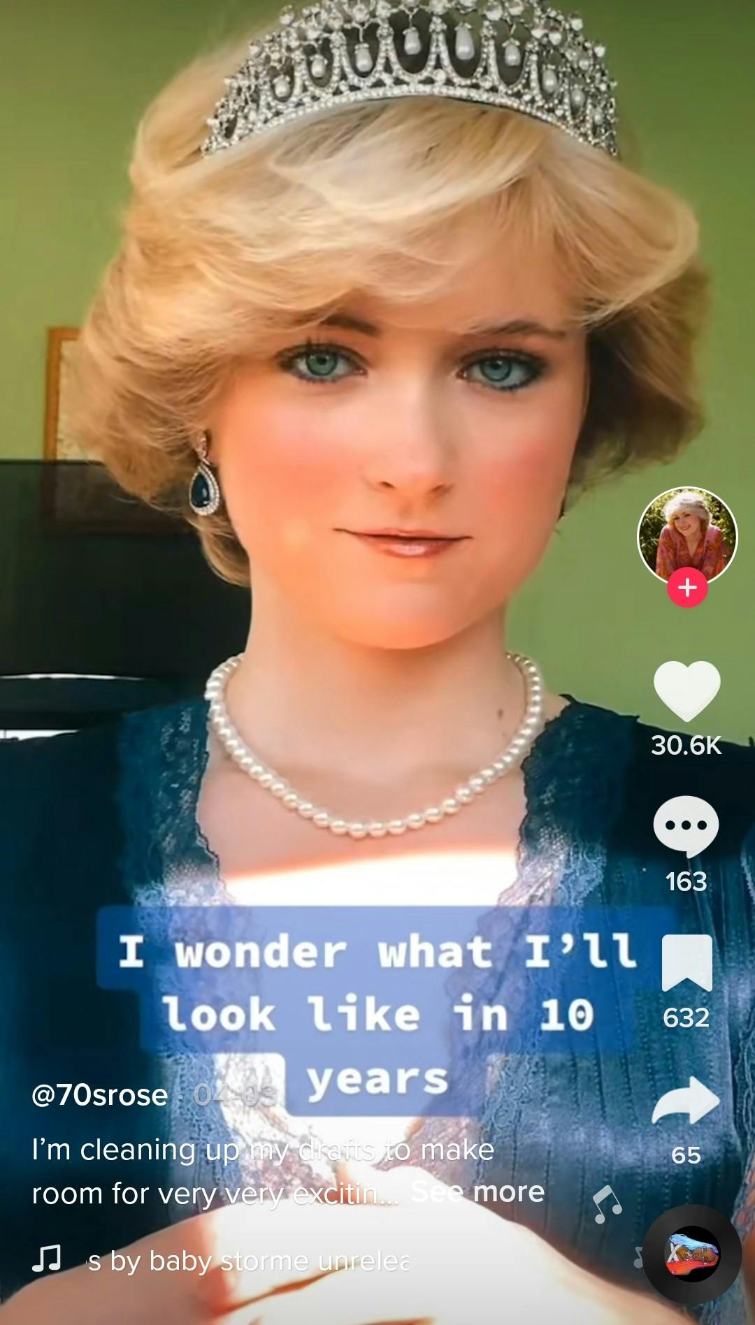 Rose van rijn tiktok