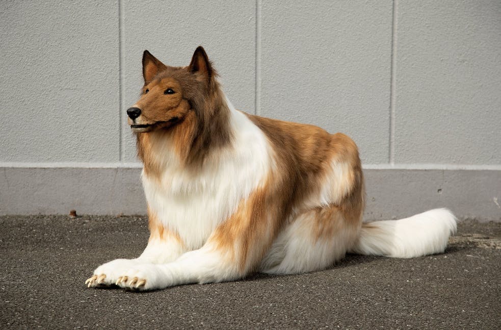 Toko kan også ligge ned - ingen problemer!