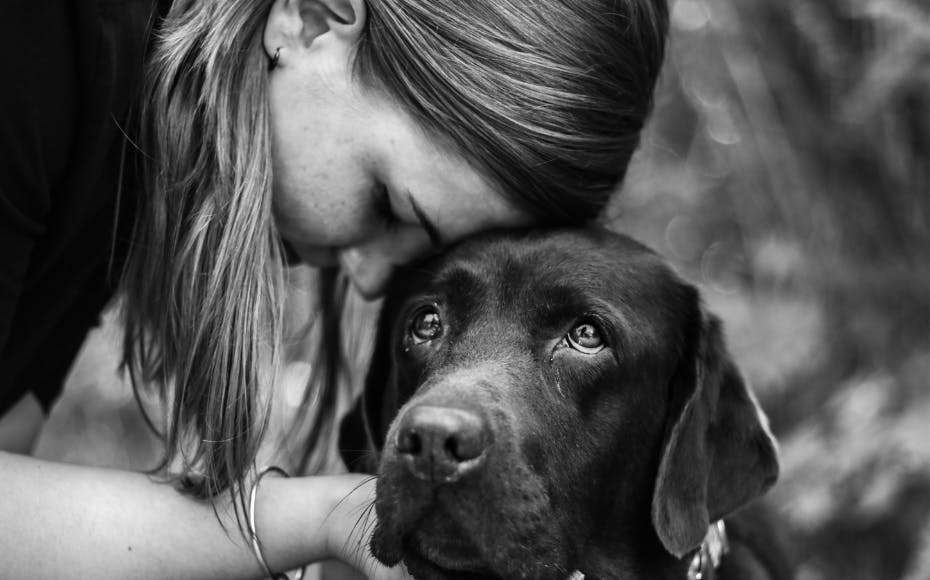 En mor vil vide, om hun er et røvhul, efter hun gav datterens hund væk.