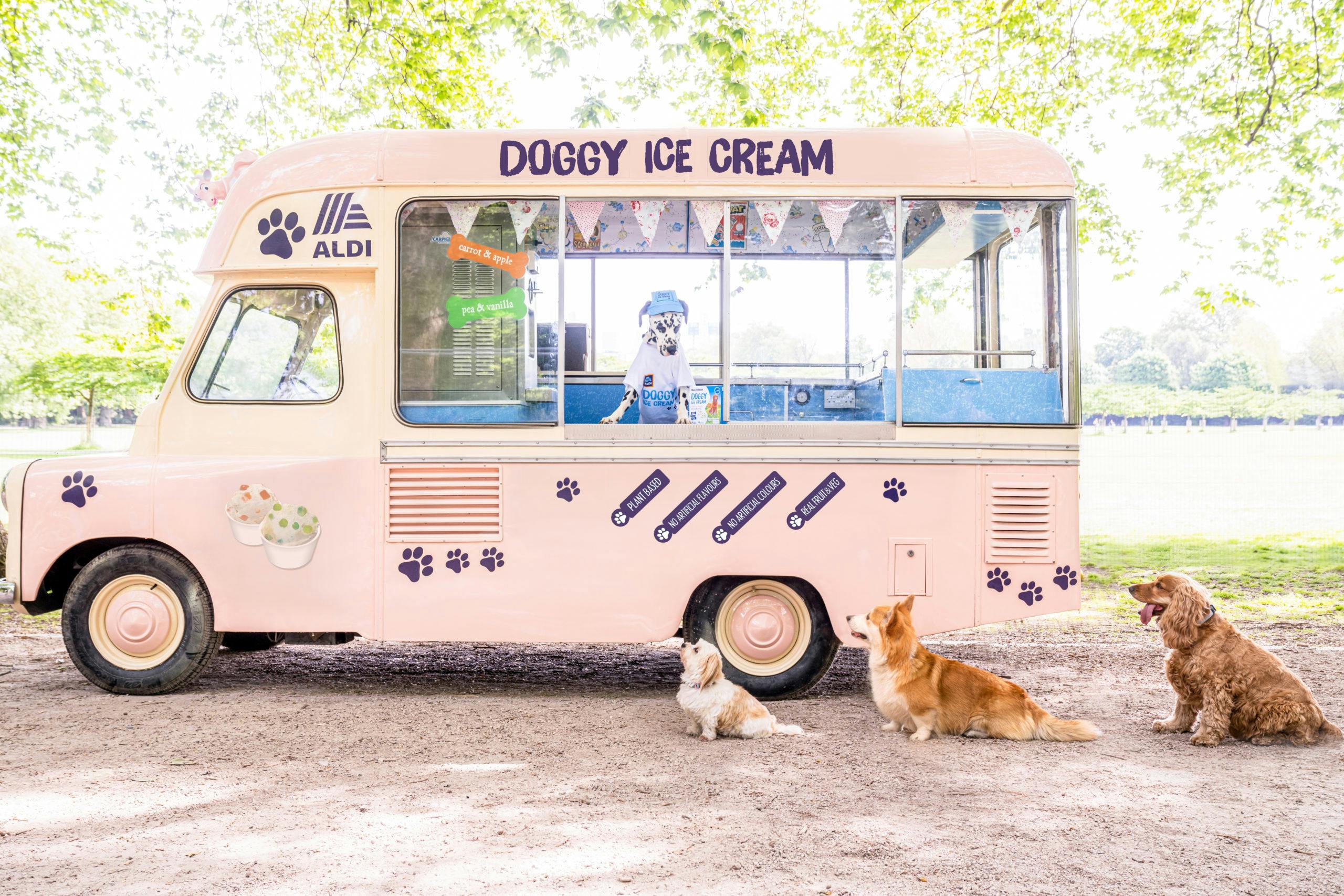 https://imgix.seoghoer.dk/2022-06-15/aldi-doggy-ice-cream-8-scaled.jpg