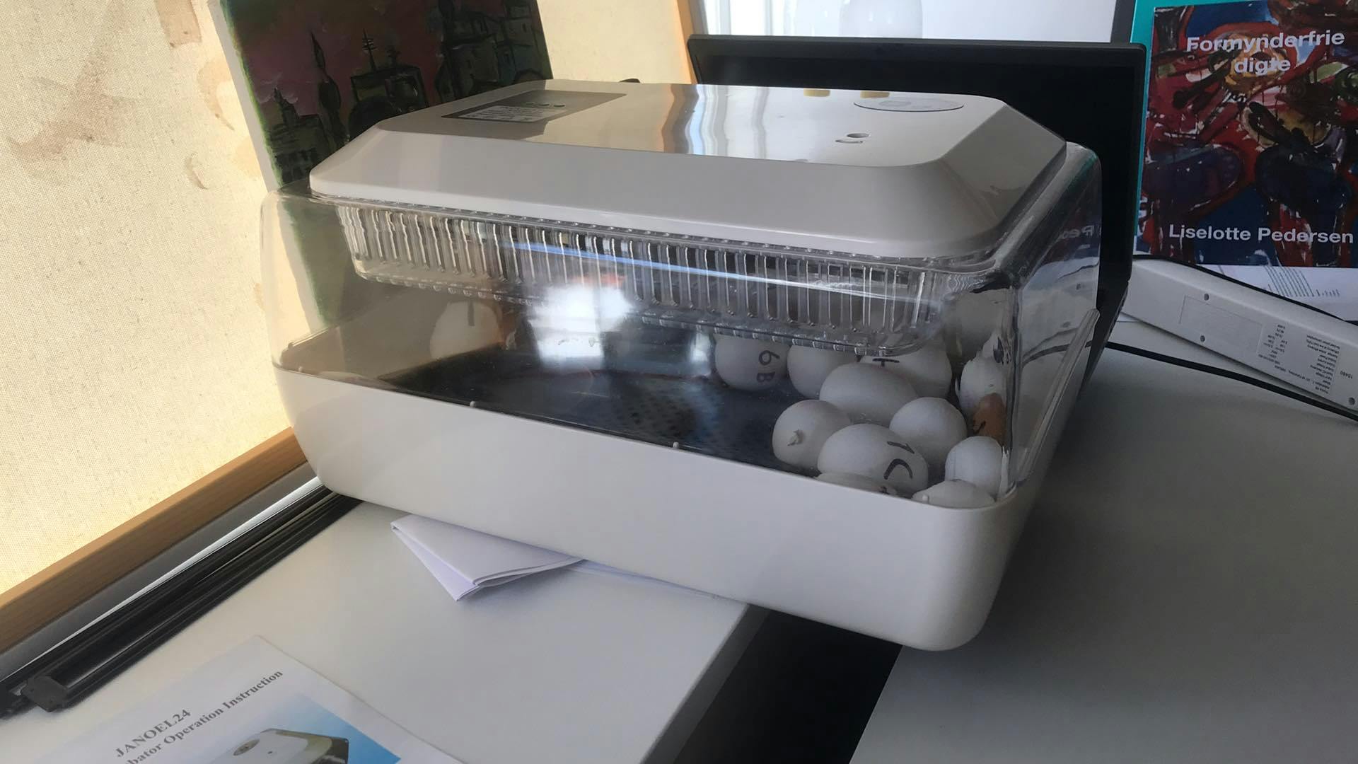 Så bliver der lavet kyllinger!