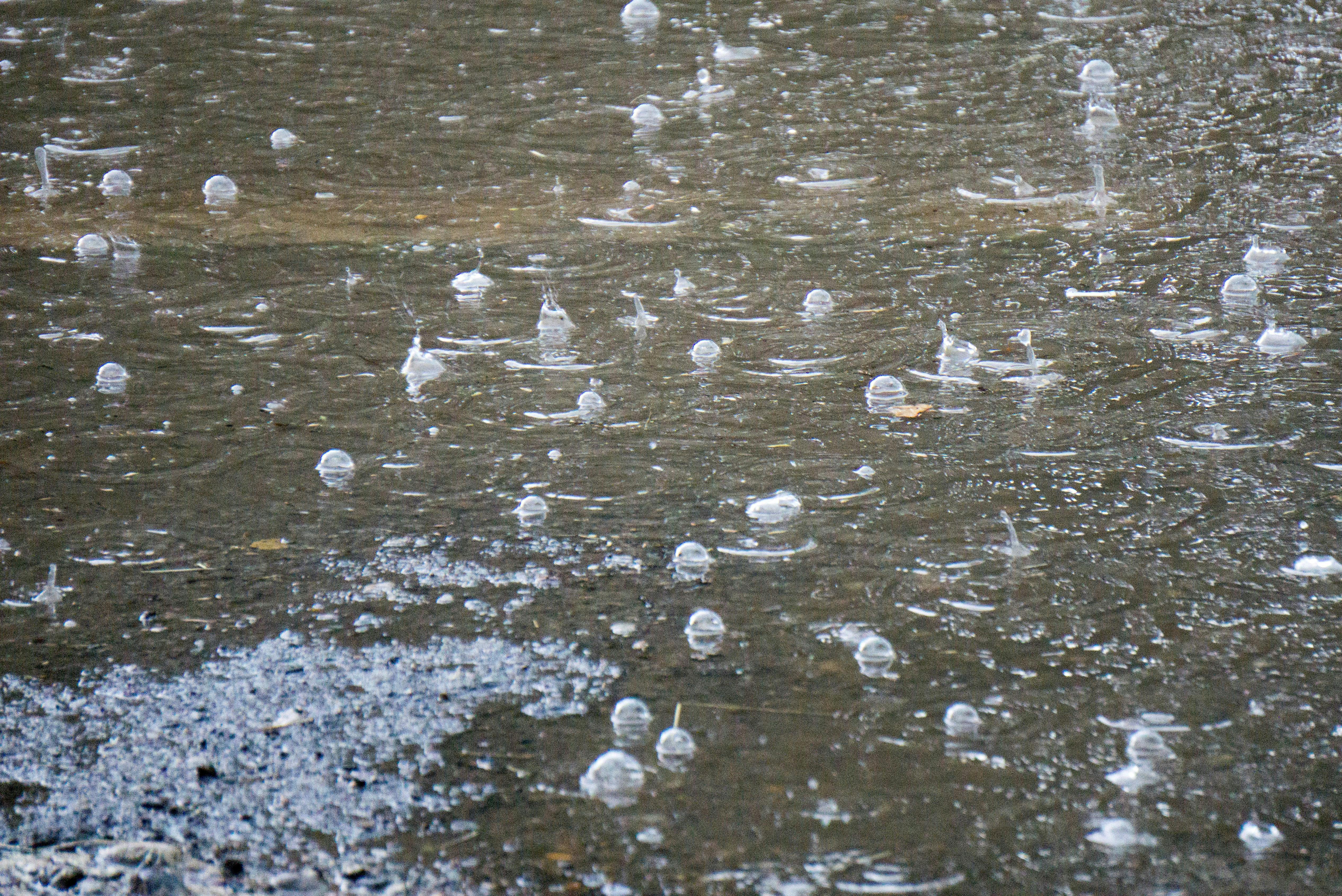Regn på vej til Roskilde Festival