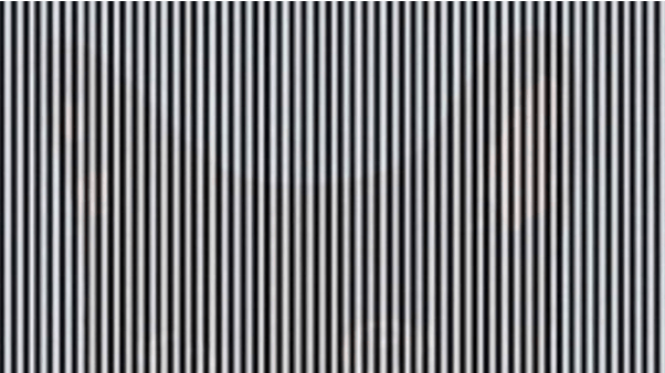 Optisk illusion af en kat