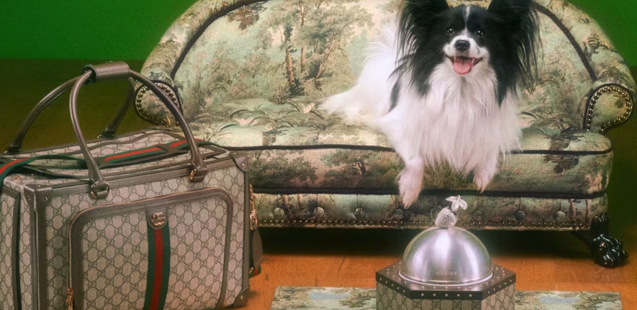 Gucci