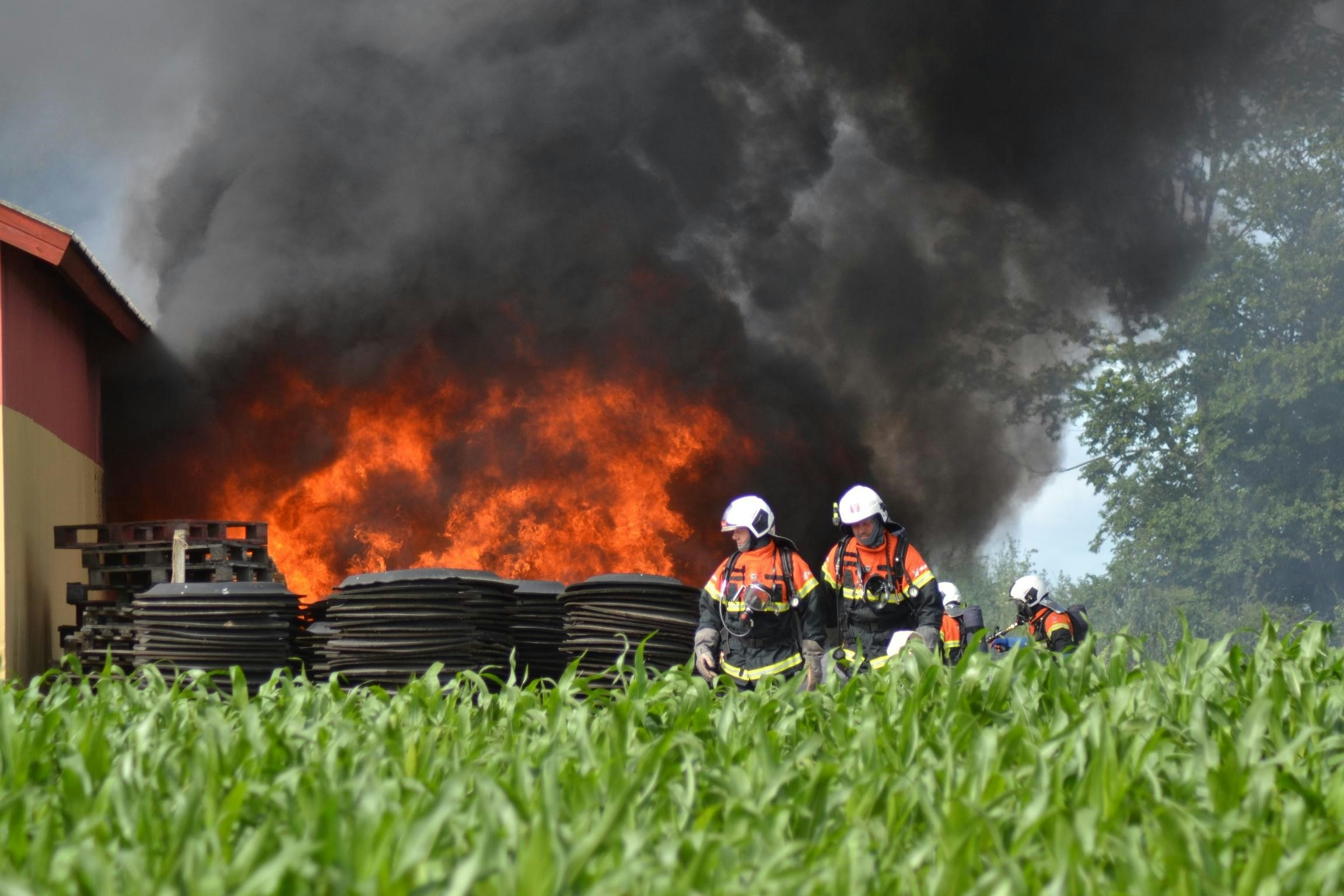 Gårdbrand