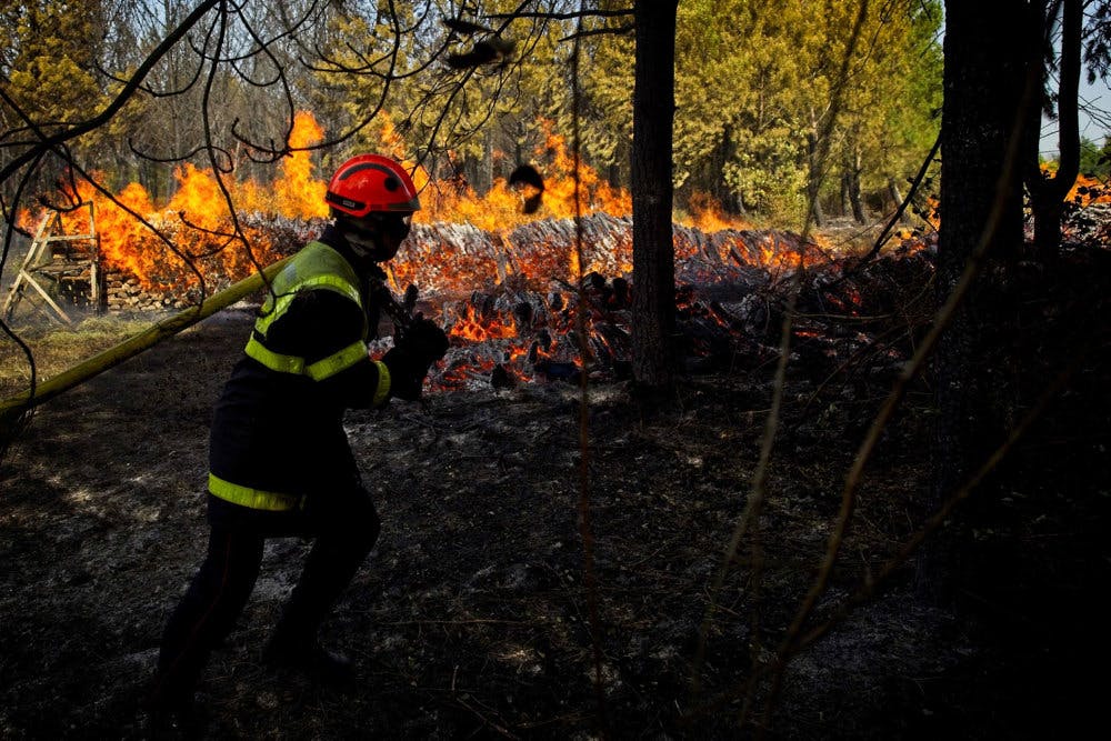 Sydfrankrig ramt af skovbrande