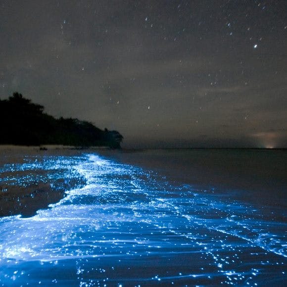 Den smukke strand på Maldiverne lyser op, når mørket falder på.