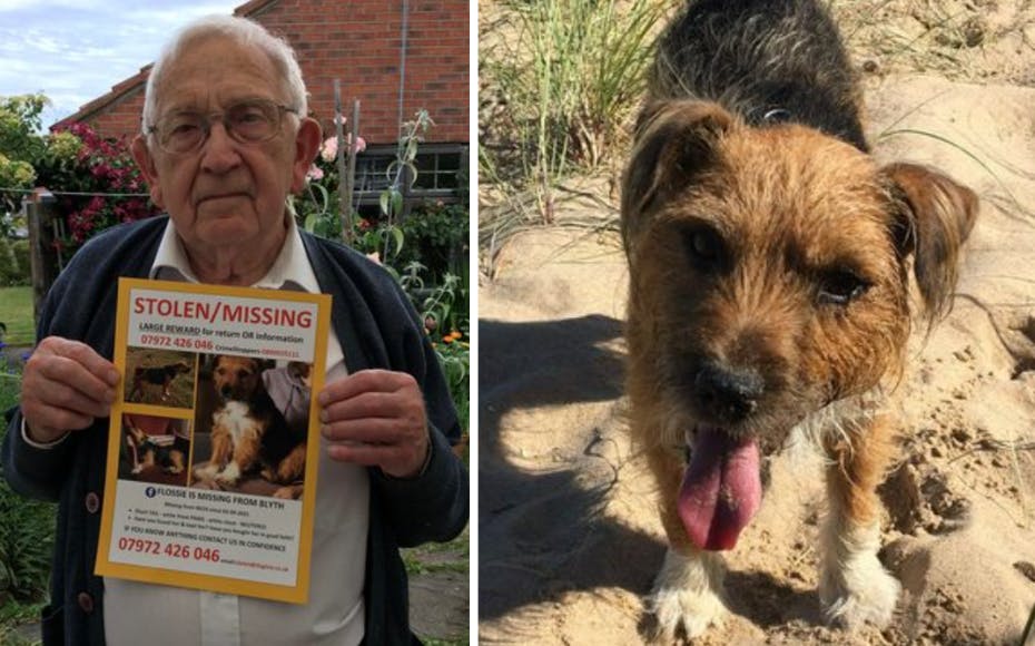 91-årig i Hvem har taget vores hund? SE og HØR