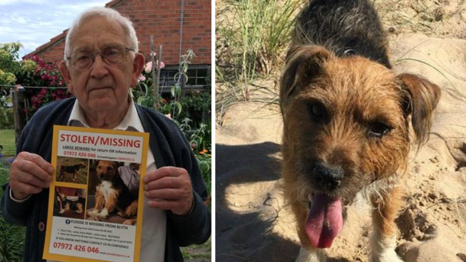 En 91-årig mand er i sorg, efter familiens hund er blevet væk.