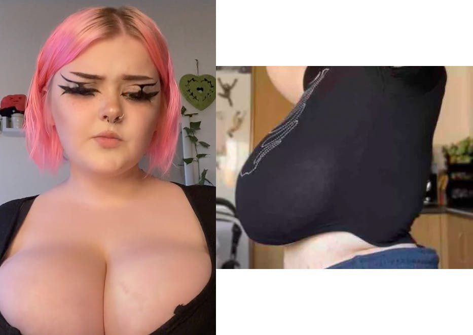 Hollys bryster