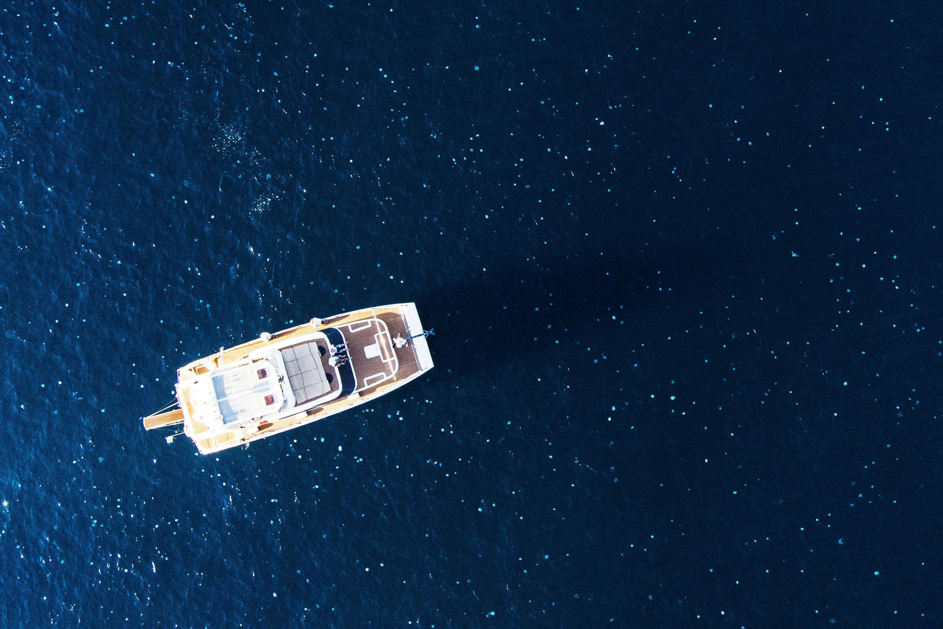 Vandmænd i rekordstore mængder ud for Haifa, Israel den 25. juli. 