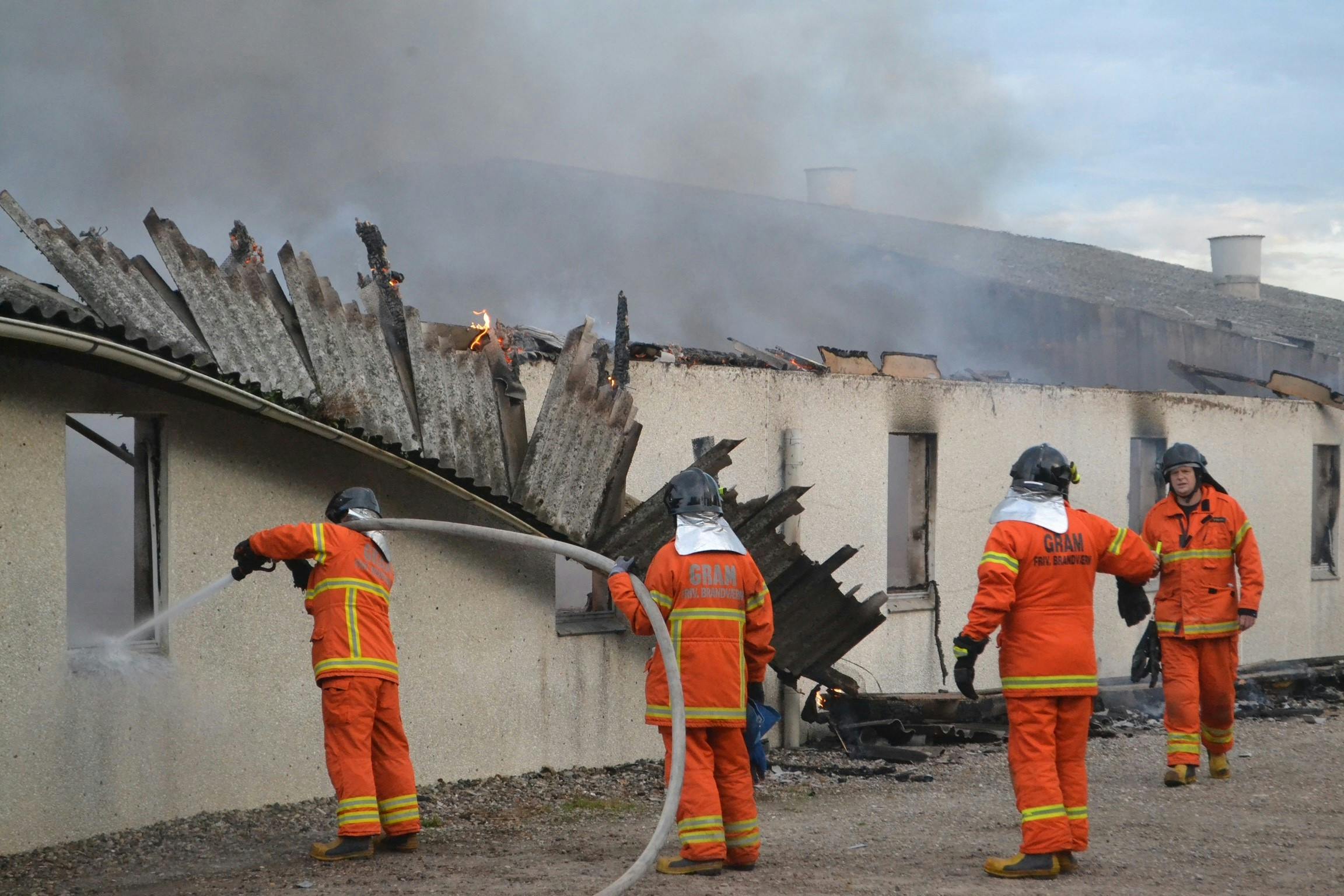 En gårdbrand har forårsaget, at mange grise skal aflives. nbsp;
