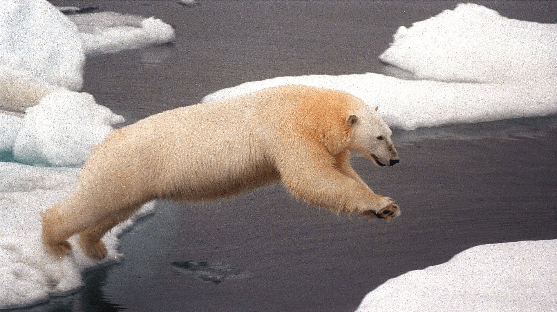 Det var på den norske øgruppe Svalbard at angrebet skete. 