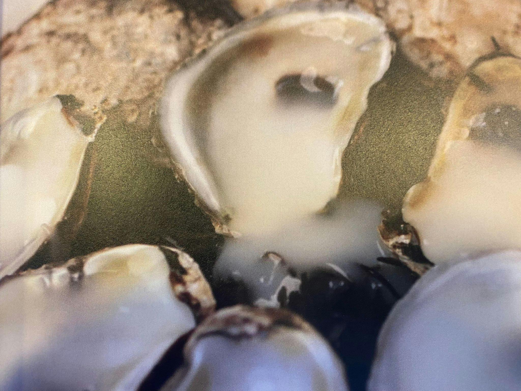 "Man made Oysters" er en af de retter, man kan servere for sine gæster, hvis man gerne vil være lidt fin på den. 