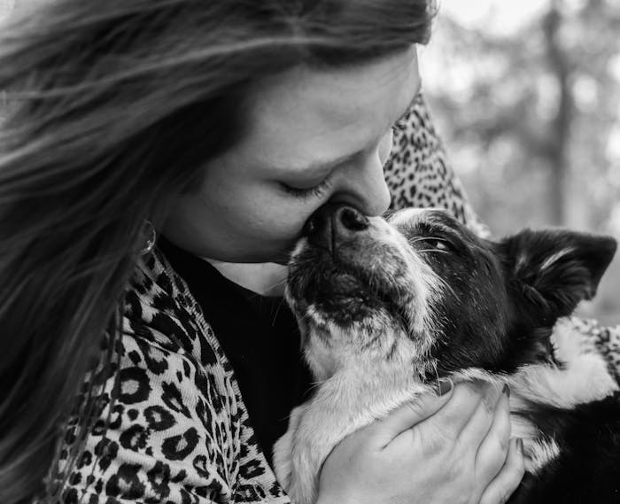 Dyrlæge med hjerteskærende ALDRIG dette, vi afliver din hund | SE og HØR