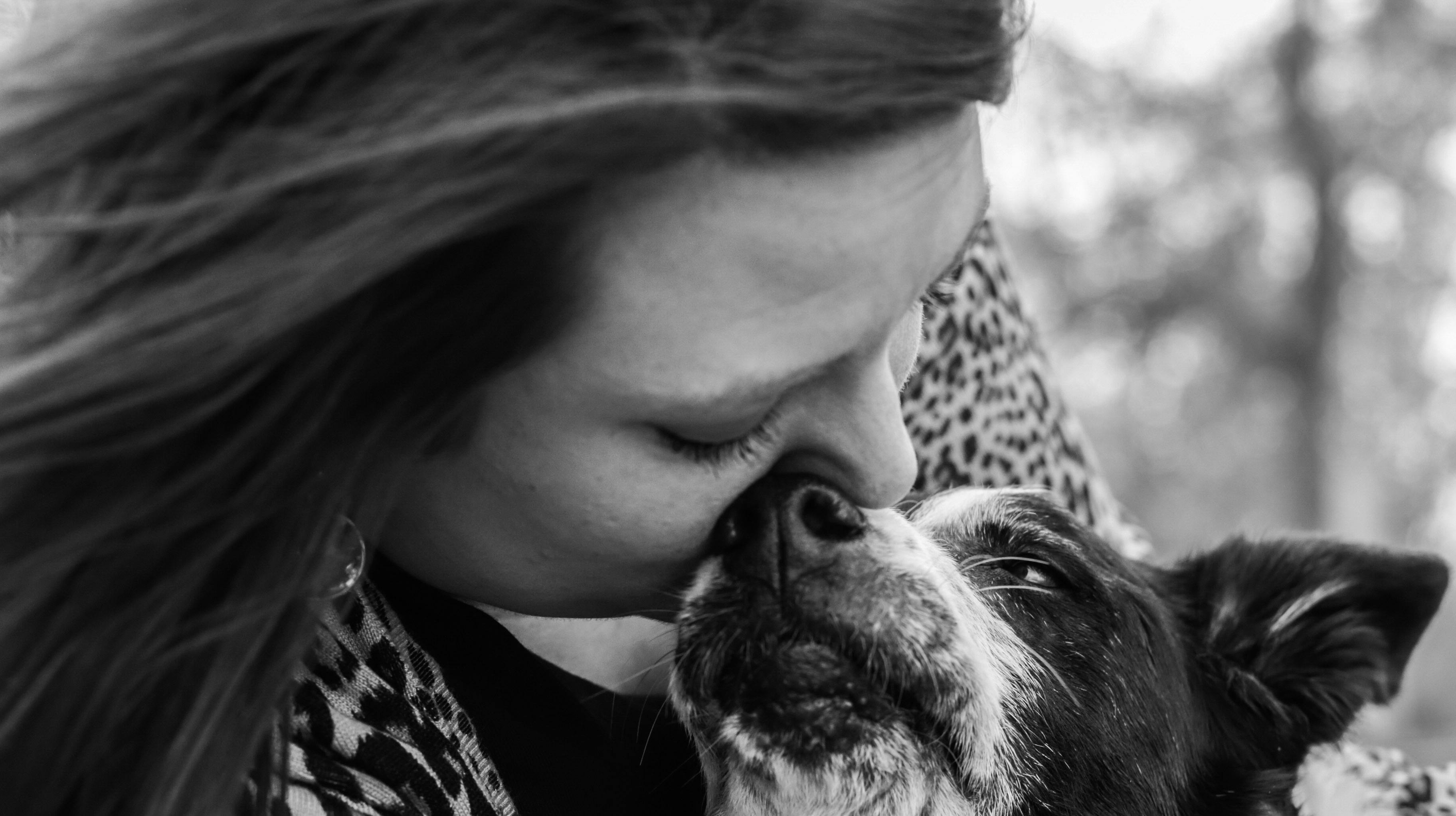 En dyrlæge kommer med et vigtigt budskab, efter hun havde en hjerteskærende oplevelse, da hun skulle aflive en hund.
