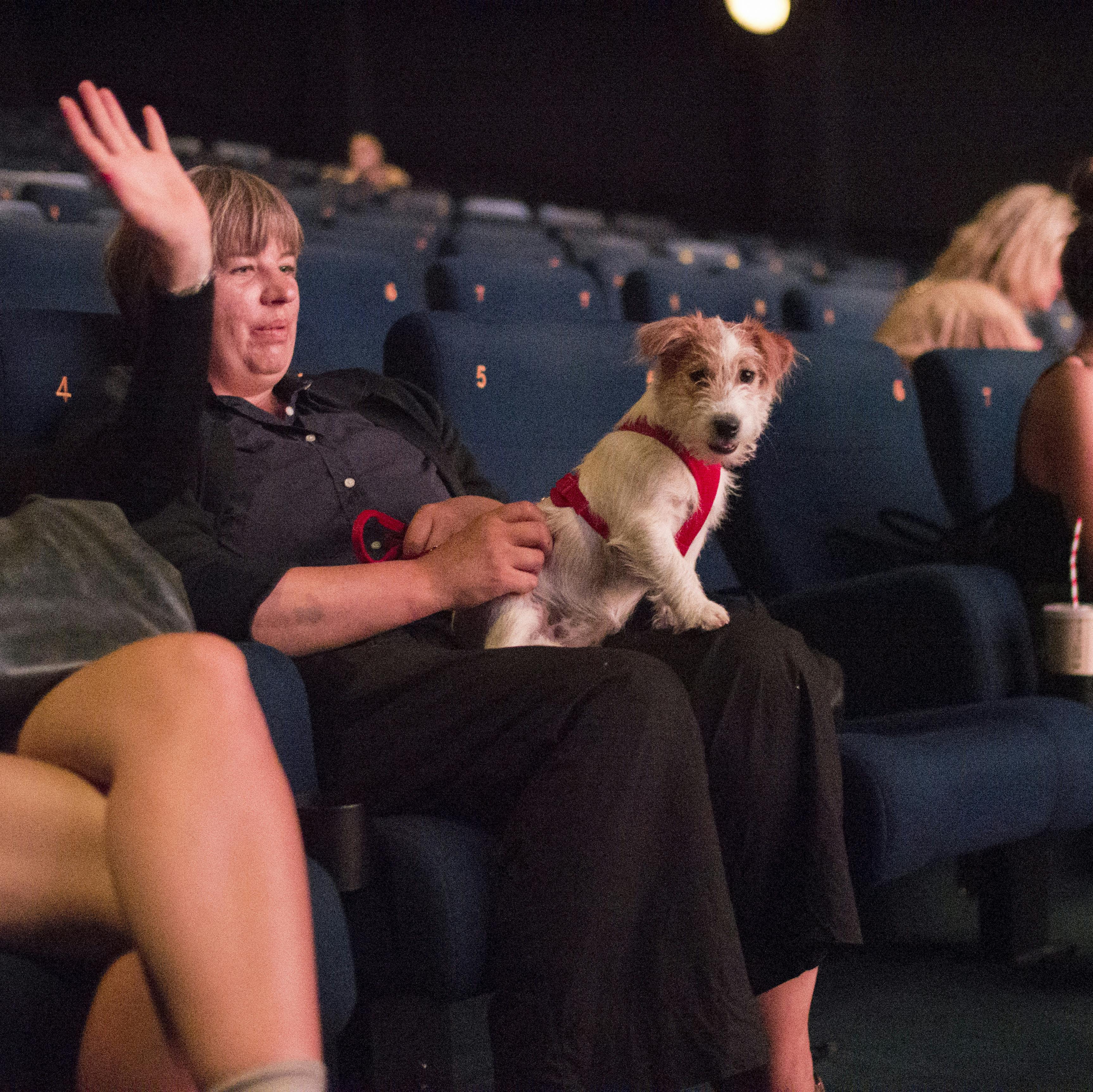Der var hundehygge, poter og popcorn, da Empire Bio forleden lod biografgæsterne tage deres vovhunde med i biografen.
