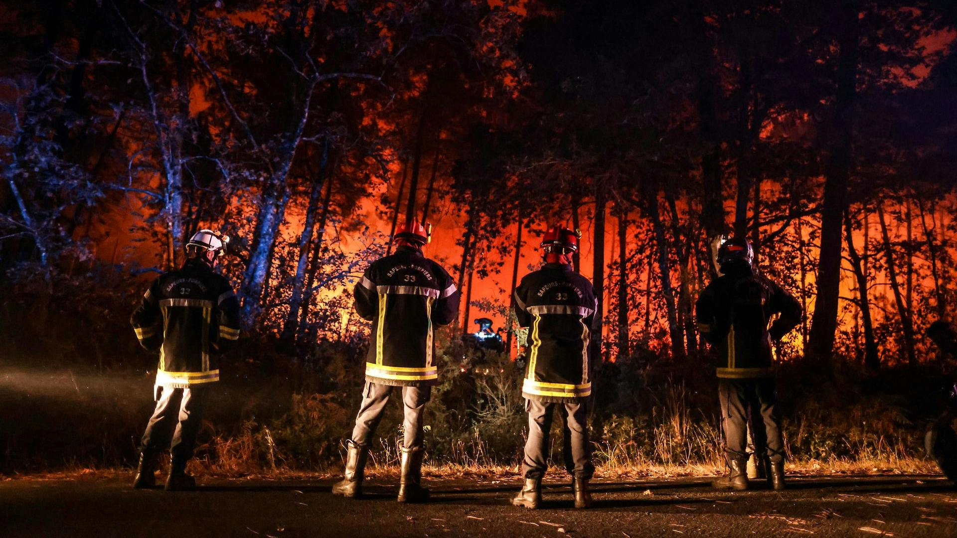 100 brandmænd kæmper mod skovbrand