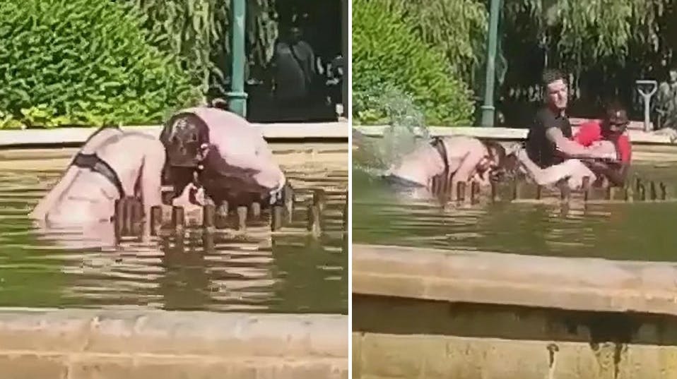 Manden holdt kvindens hoved under vand, indtil et modigt vidne hoppede i springvandet og stoppede ham.