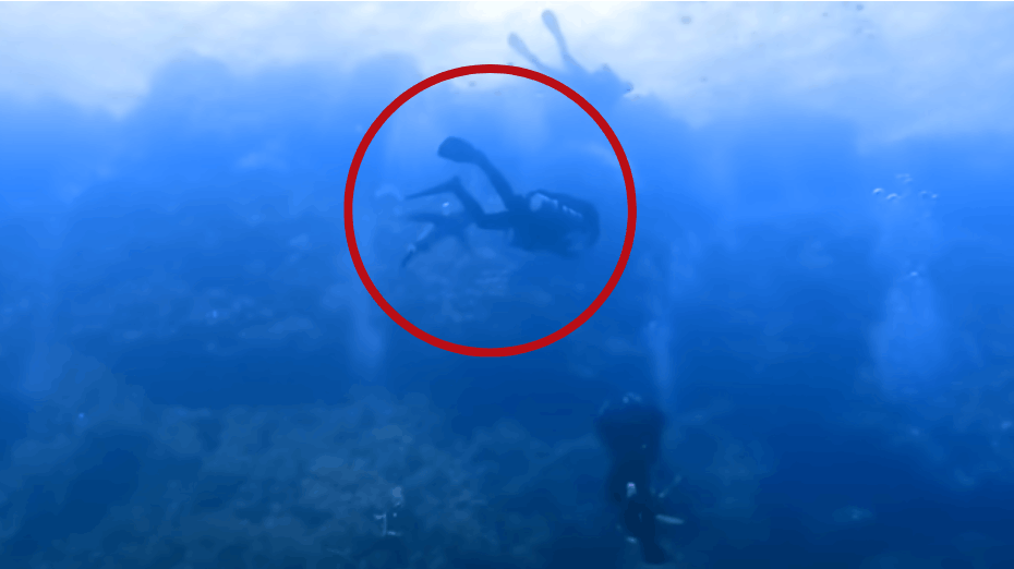 Den tyske dykker svømmede på 10 meters dybde, da hajen pludseligt angreb.