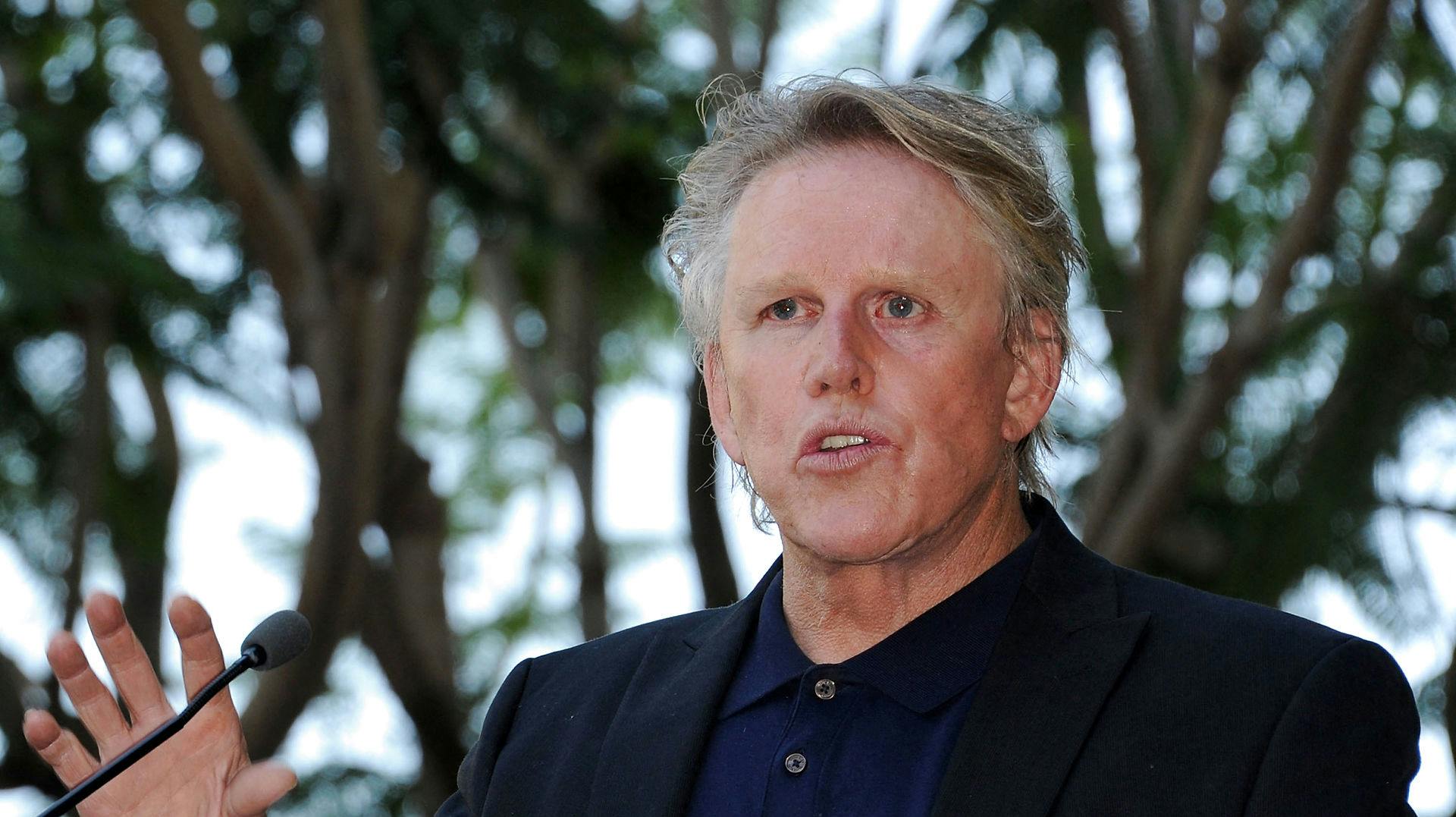 Skuespilleren Gary Busey er blevet sigtet for flere seksualforbrydelser begået sidste weekend.