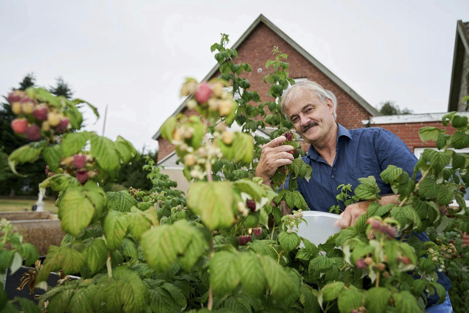På gården er der høns og køer. Men der er også bær, frugt, kartofler og andet godt til ganen.