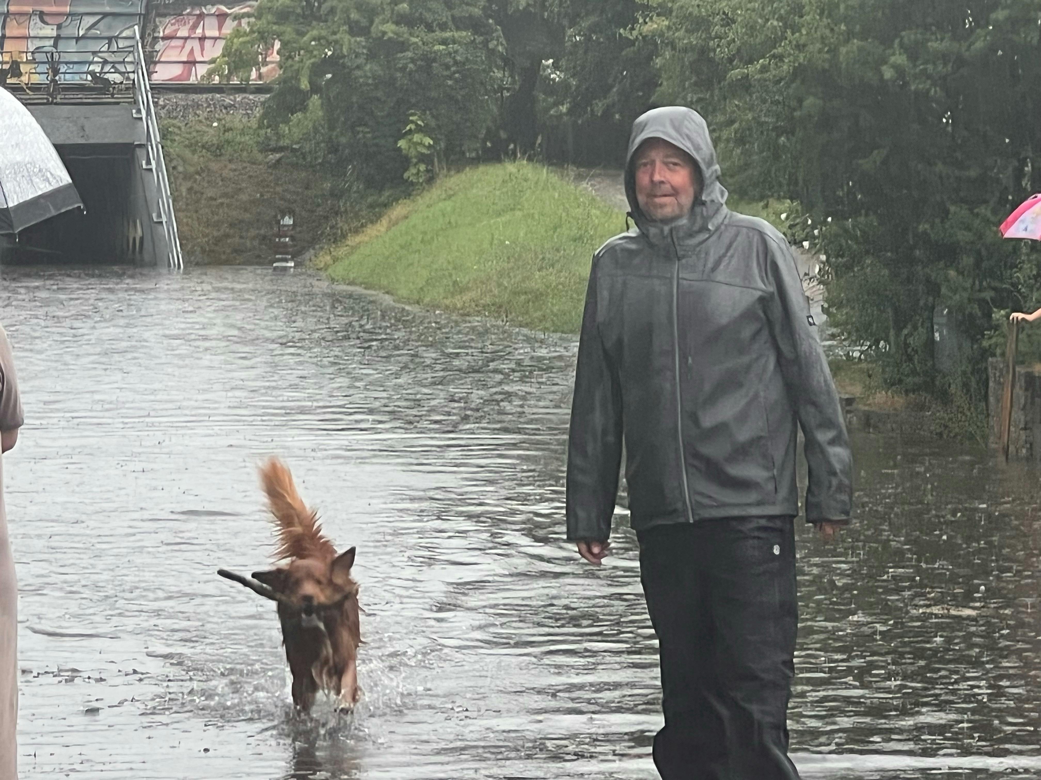 Hunde og barnlige sjæle har en fest i Roskilde i dag.