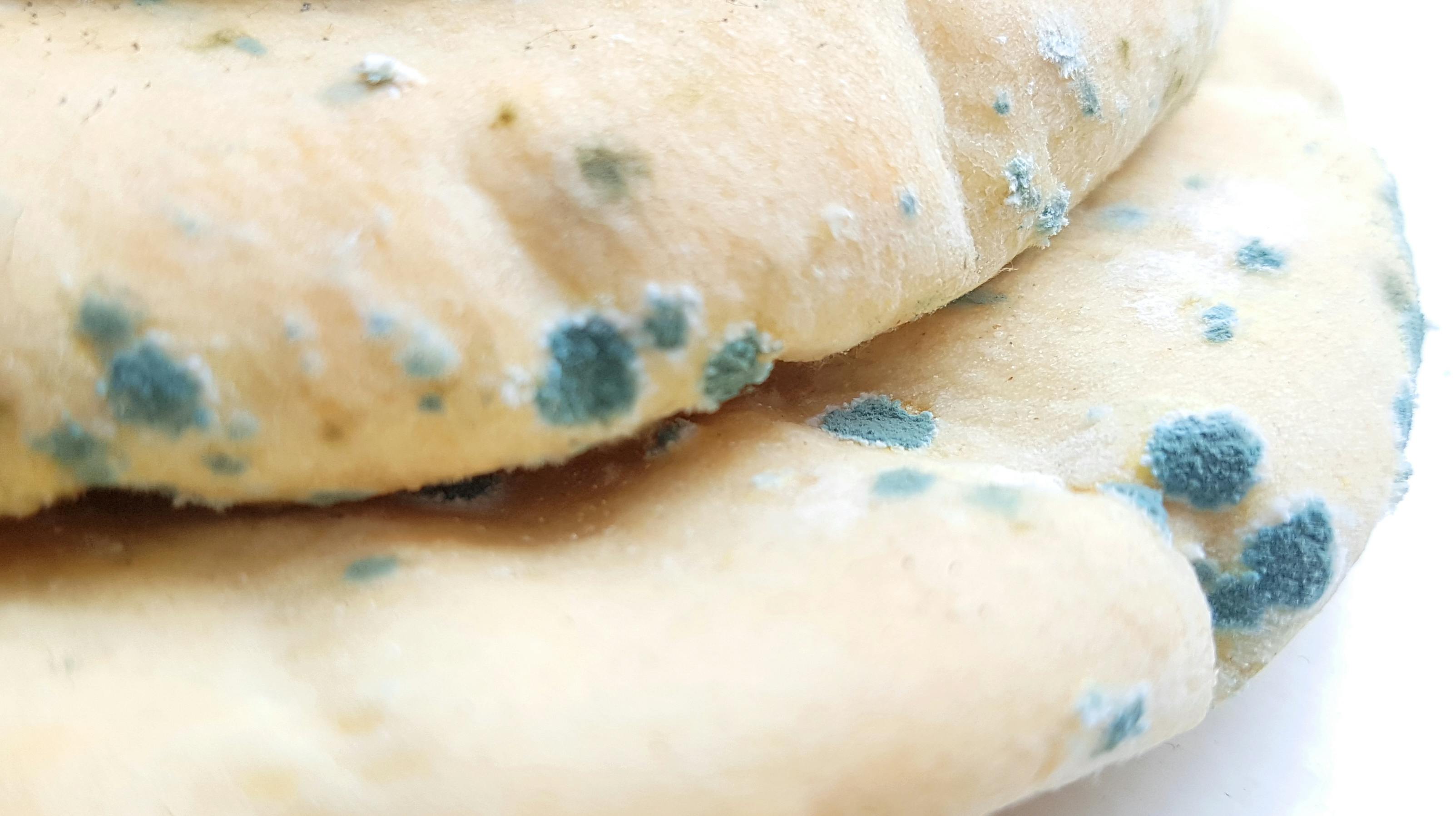 Muggen pita