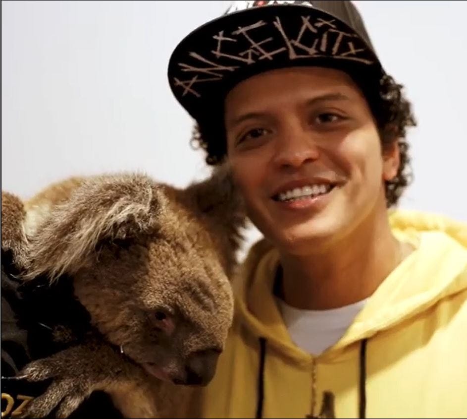 Bruno Mars og koala