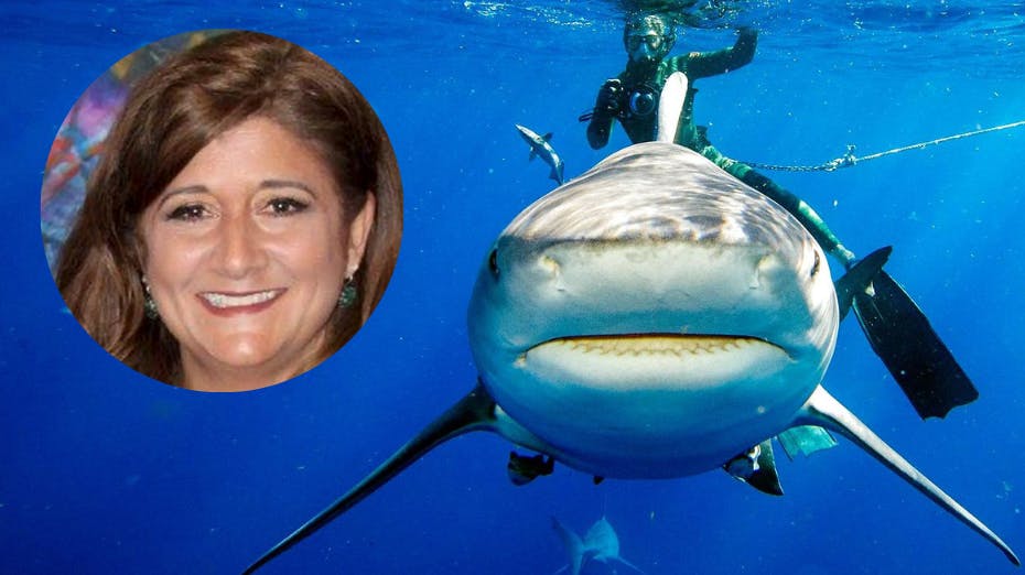 Den 58-årige projektkoordinator Caroline DiPlacido blev angrebet og dræbt af en tyrehaj. nbsp;