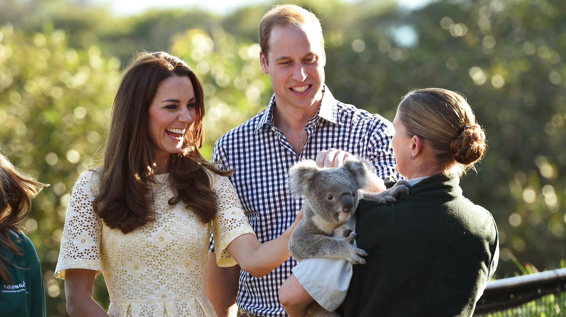 William og Kate klapper koala