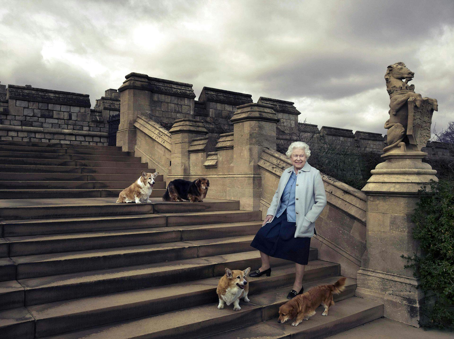 I forbindelse med hendes 90-års fødselsdag udsendte kongehuset dette portræt af dronning Elizabeth - flankeret af hundene Willow, Vulcan, Holly og Candy.