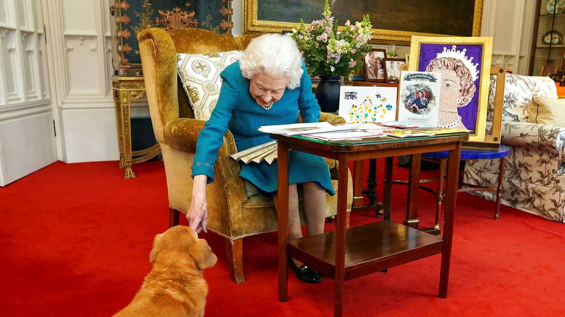 I forbindelse med hendes 70-års regeringsjubilæum blev dette billede taget i februar i år. Her ses dronningen i en kærlig stund med hunden Candy. nbsp;