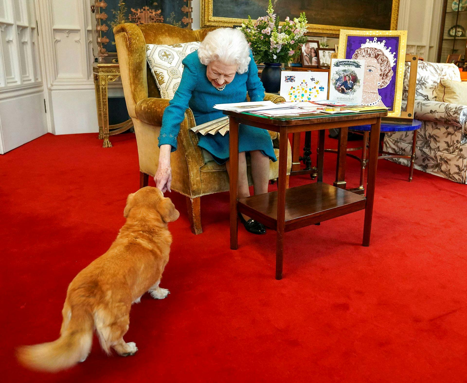 Dette billede fra februar 2022 viser dronningen sammen med sin Candy.