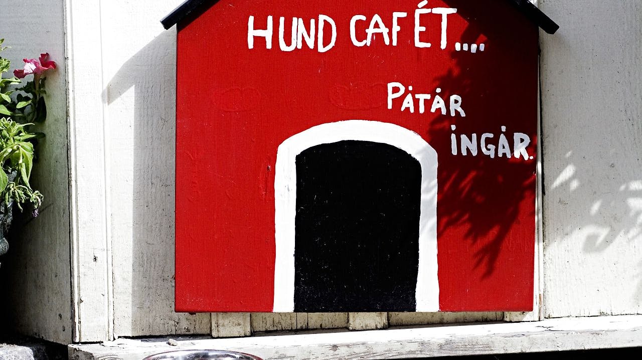 En borger nær Glenstrup Sø fandt tirsdag aften en uvelkommen gæst i sit hundehus: En nøgen mand.