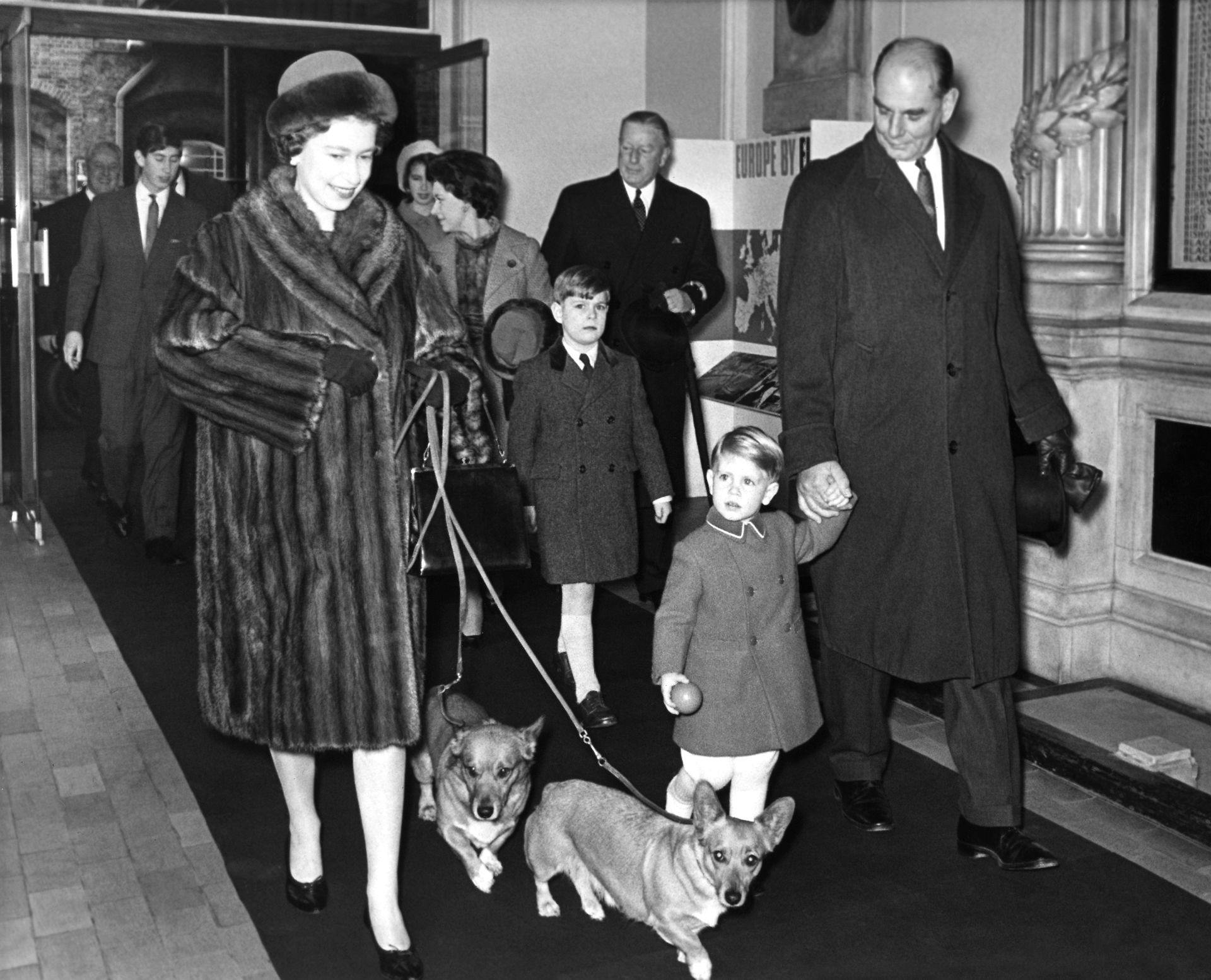 Dronning Elizabeth har i løbet af sit 96 år lange liv haft over 30 corgier.