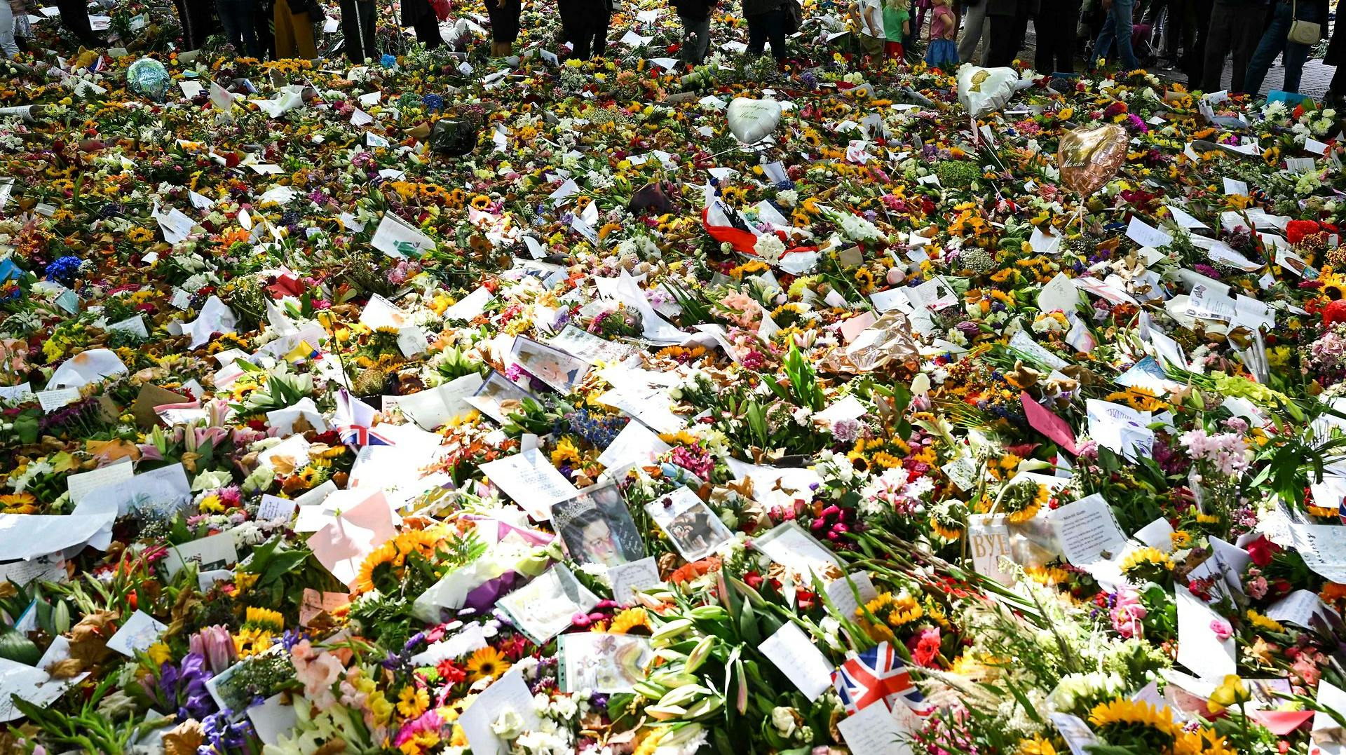 Sådan så blomsterhavet ud i Green Park i London efter nyheden om dronning Elizabeths død.&nbsp;