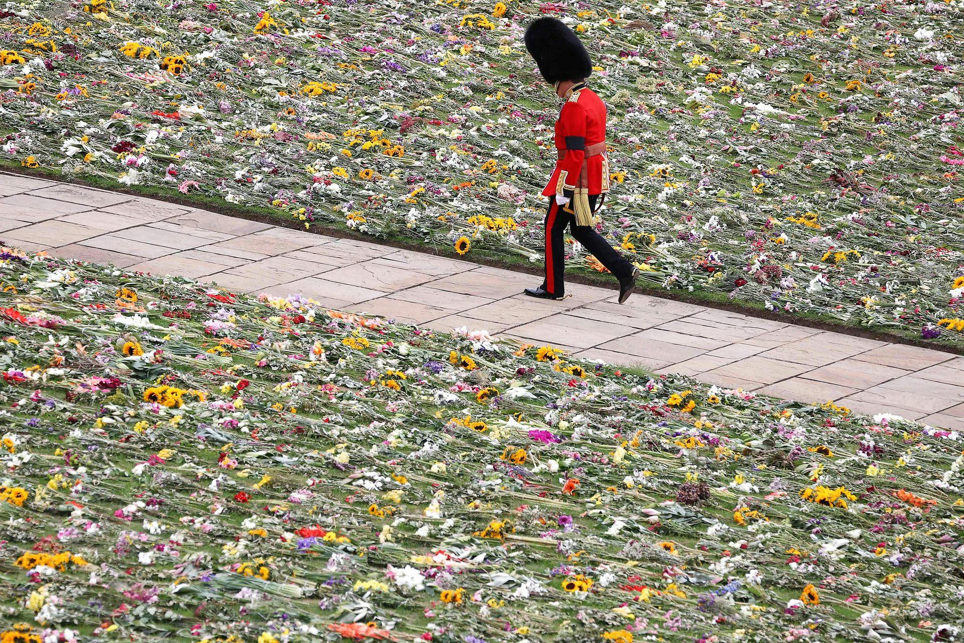 Græsplænen på Windsor Castle var prydet med de mange blomster i forbindelse med dronningens statsbegravelse.