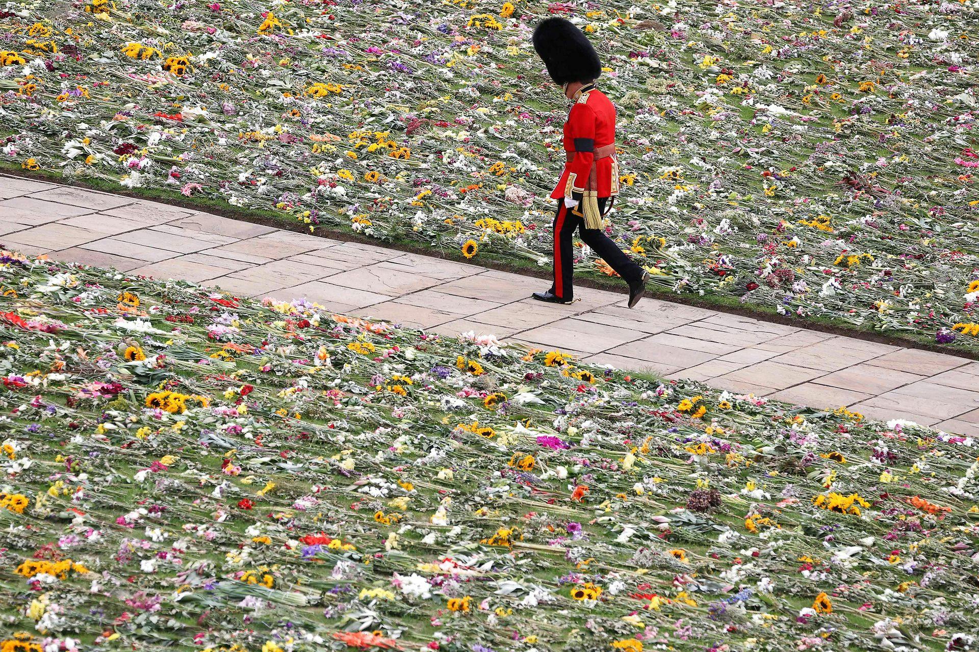 Græsplænen på Windsor Castle var prydet med de mange blomster i forbindelse med dronningens statsbegravelse.
