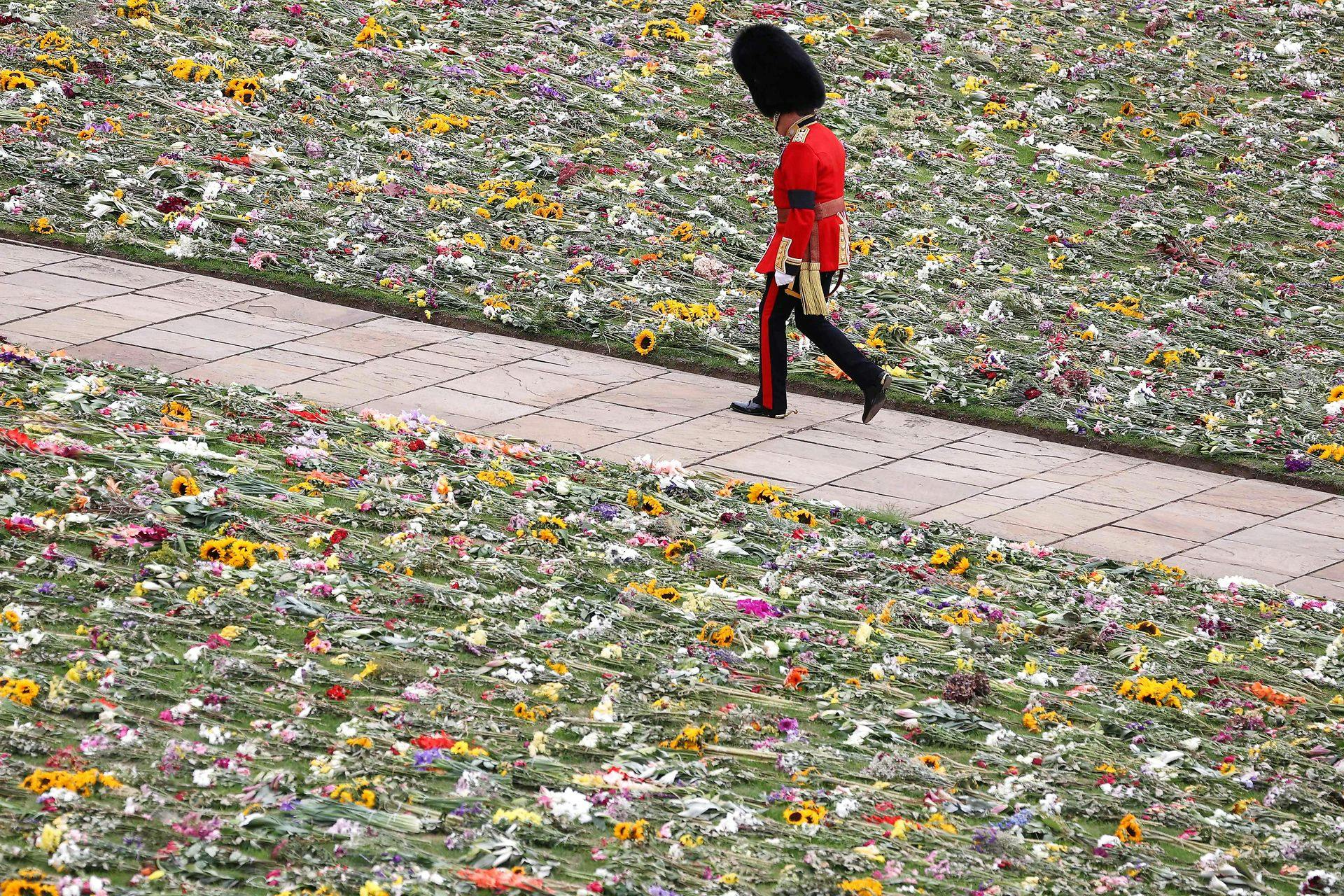 Græsplænen på Windsor Castle var prydet med de mange blomster i forbindelse med dronningens statsbegravelse.
