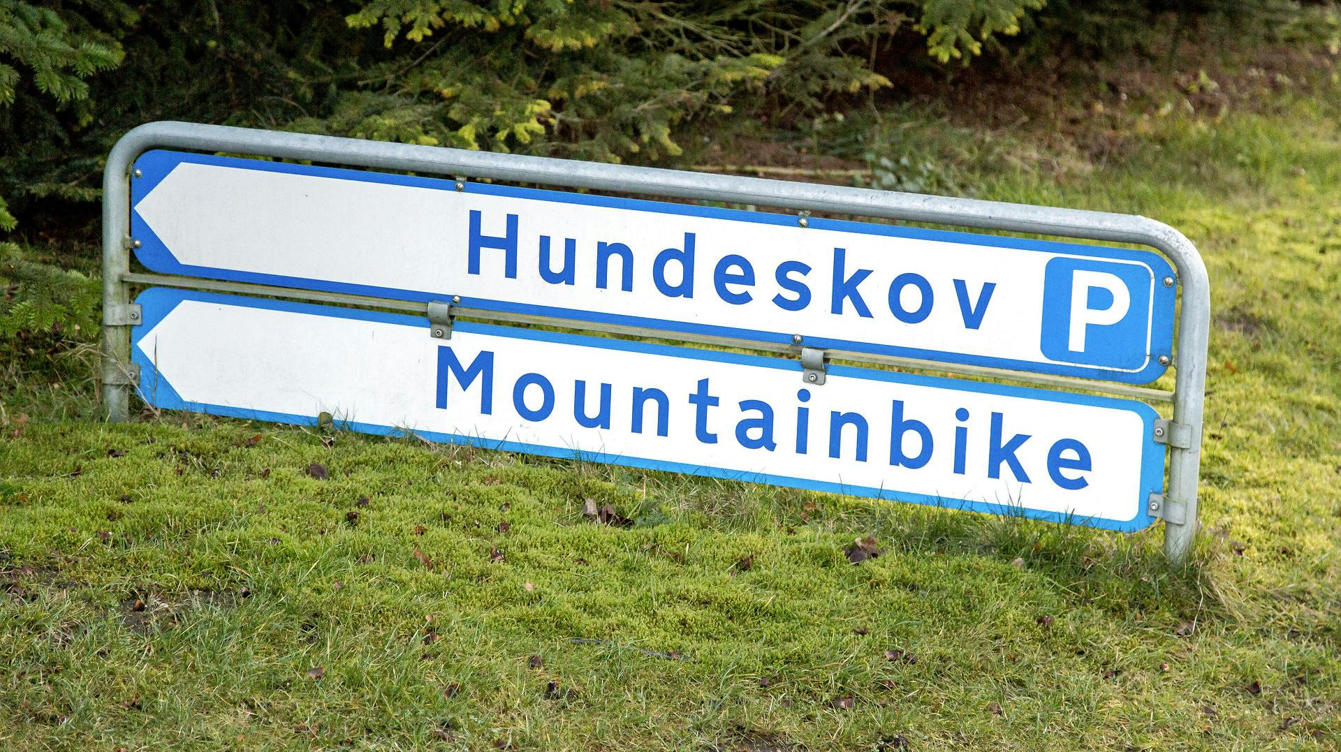 En lille hund har mistet livet, efter den kom op at slås med to større hunde i hundeskoven ved Hanstholm.