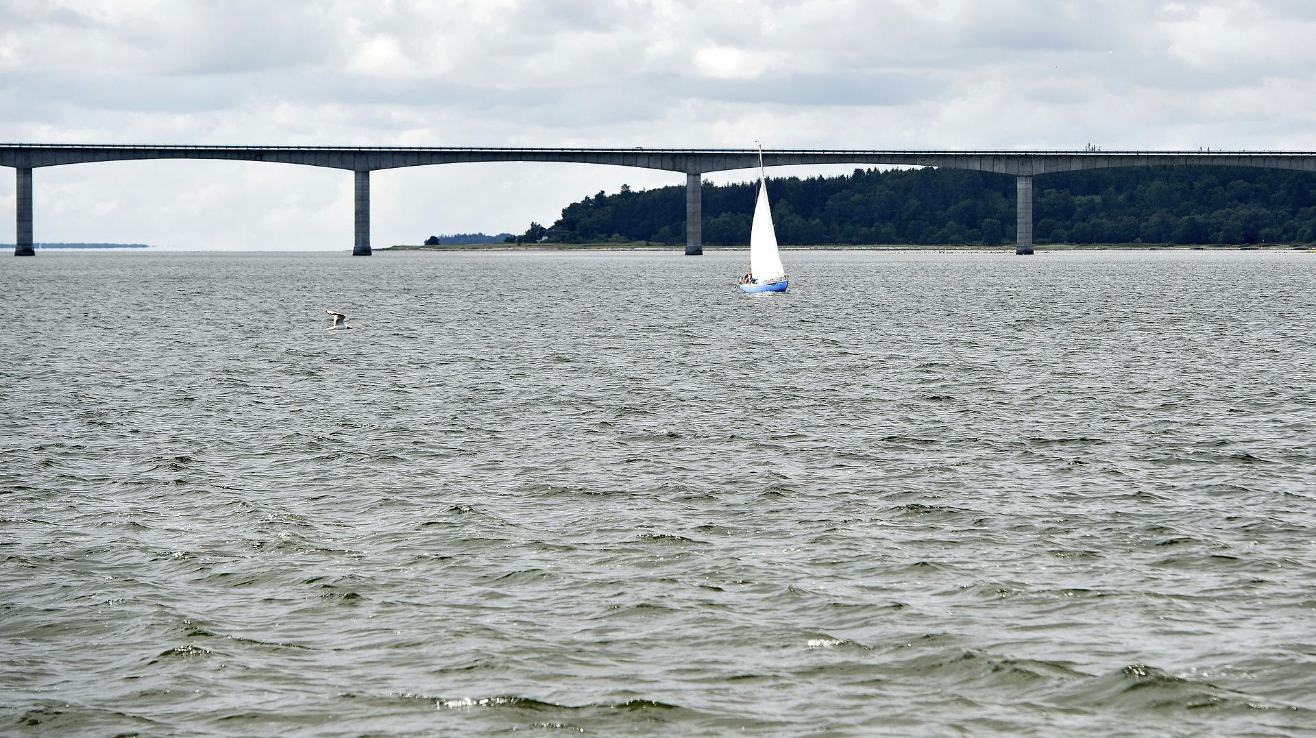 Fisk og de badende i Lillebælt får glæde af det varme vand, som ellers kunne være brugt til at hjælpe med opvarmningen i tusindvis af huse.