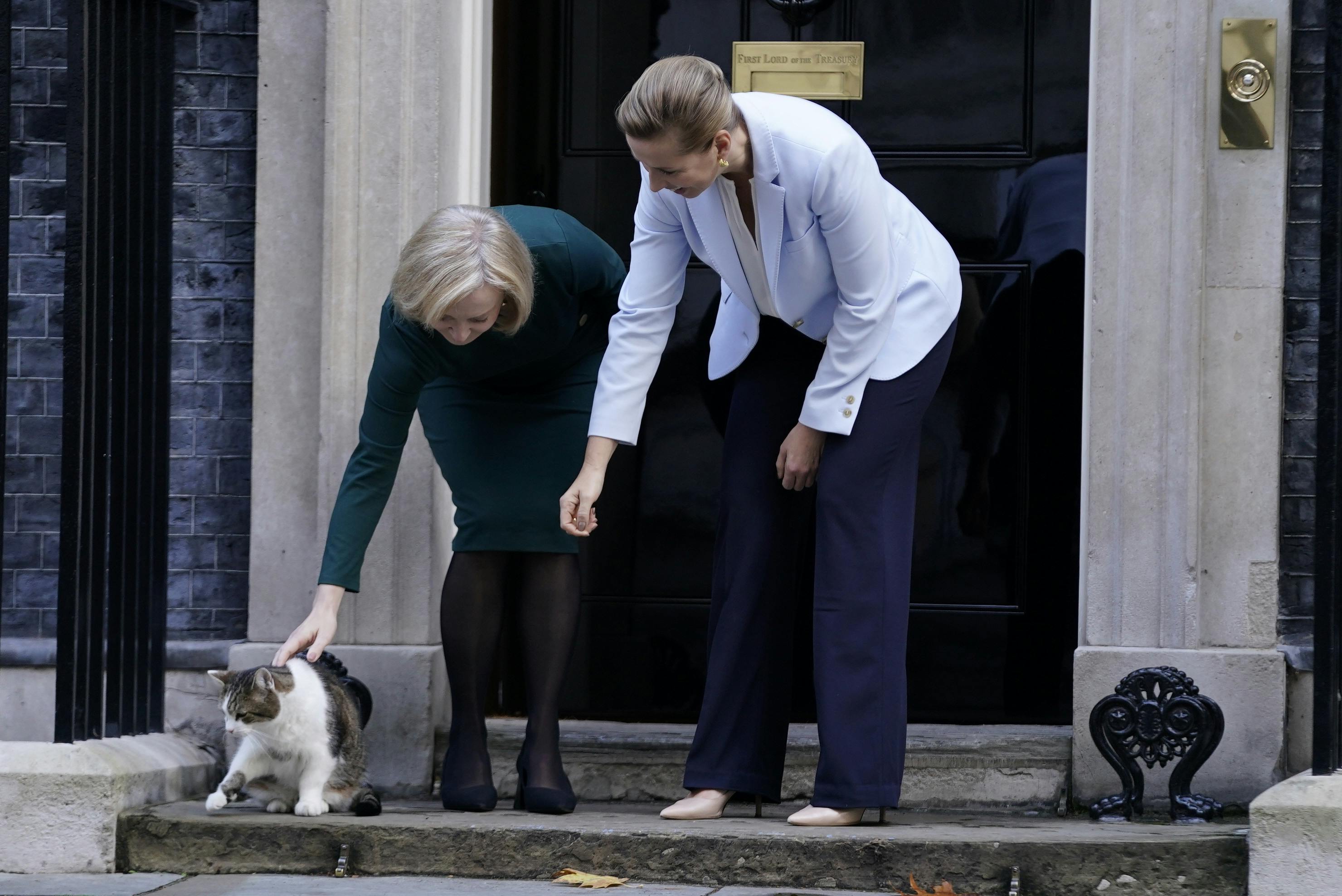 Den danske statsminister fik også lejlighed til at hilse på katten Larry the Chief Mouser som er lidt af en britisk legende efterhånden&nbsp;
