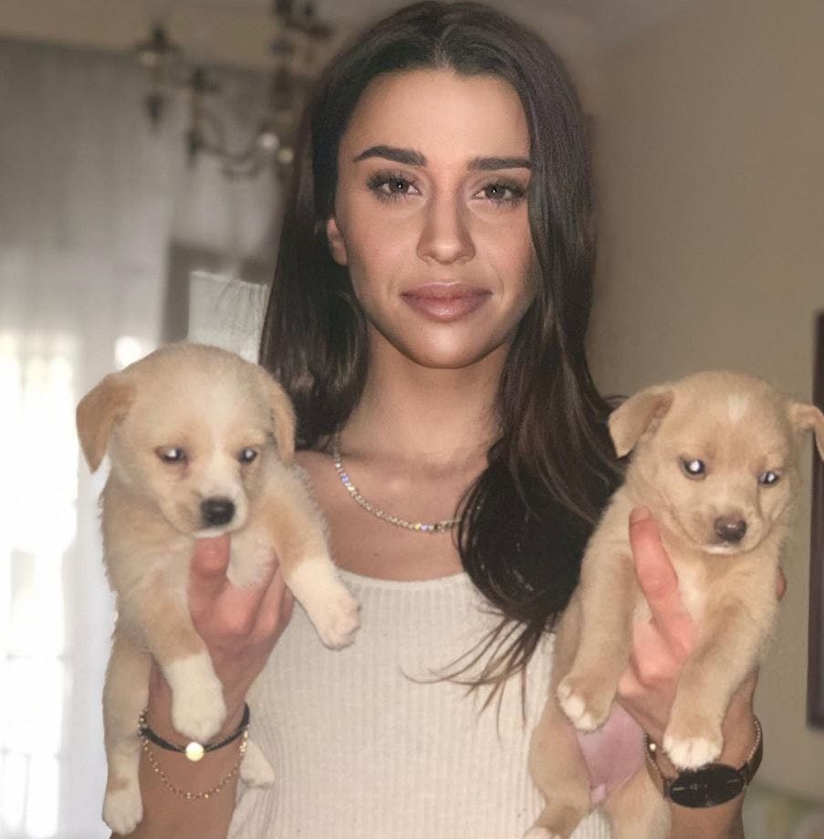 Tania Gomez har drevet dyreorganisationen Hundgärin.