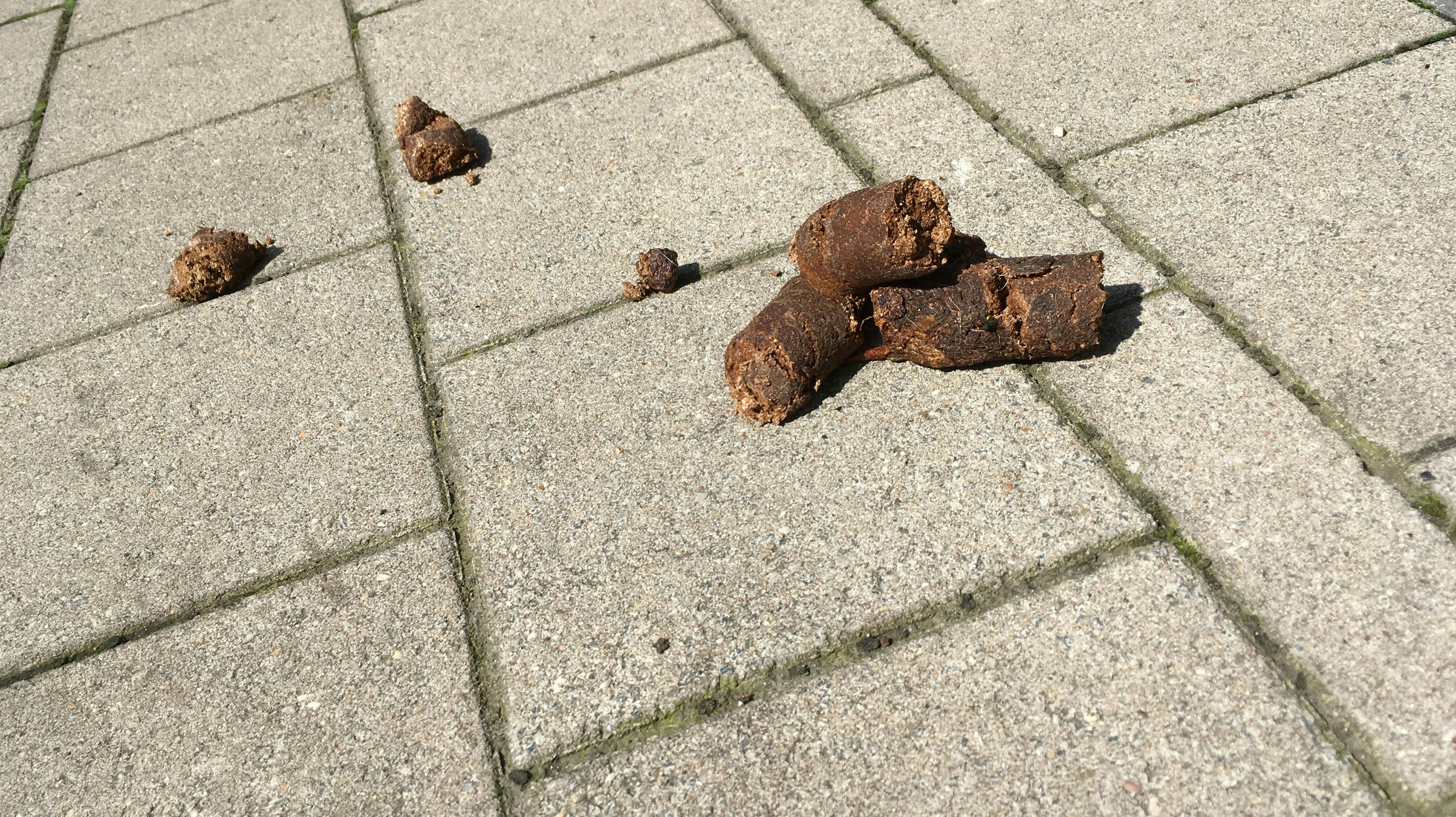 En klam episode udspillede sig Skive, hvor en mand lagde en skive på fortovet. nbsp;