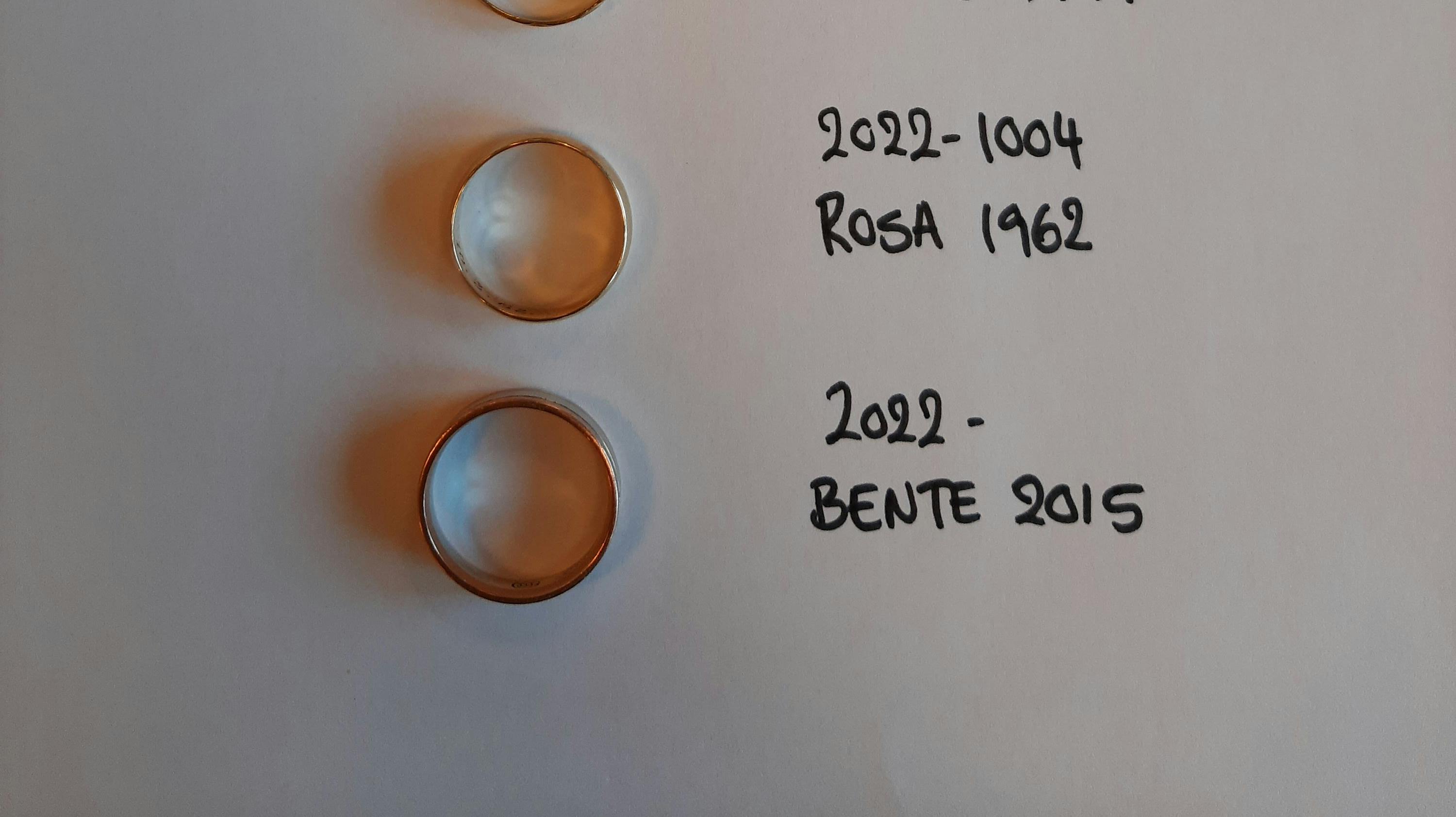 Sydjyllands Politi efterlyser ejerne af ringene på billedet.